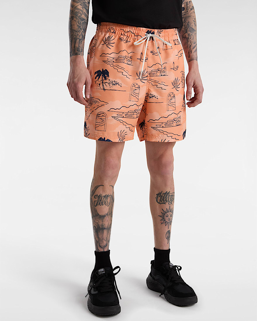 Primary Print Elastic Boardshorts VANS Orange ALT2