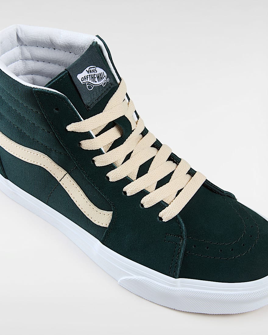 Sk8-Hi Suede Shoes