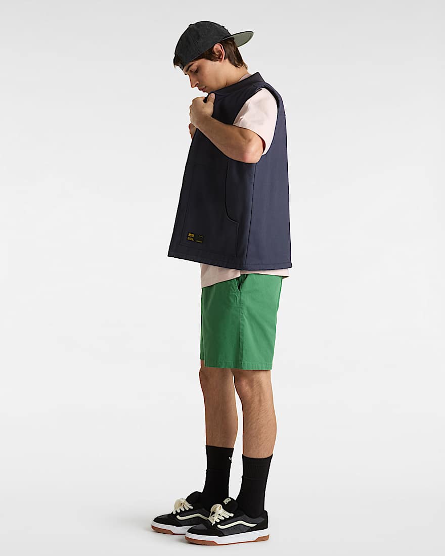 Range Relaxed Shorts VANS Grn ALT5