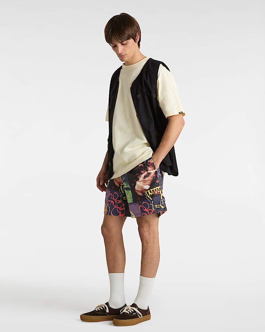 Primary Crazy Print Boardshorts VANS Blau ALT5