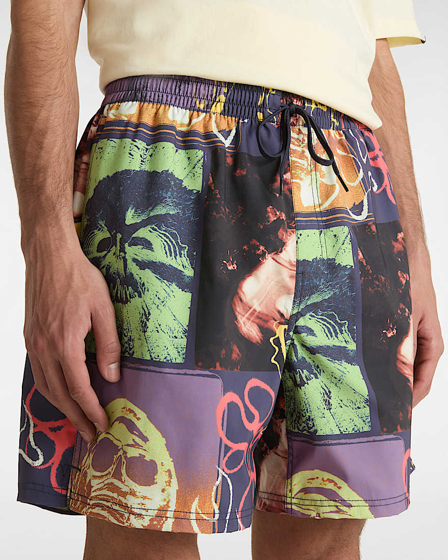 Primary Crazy Print Boardshorts VANS Blau ALT6