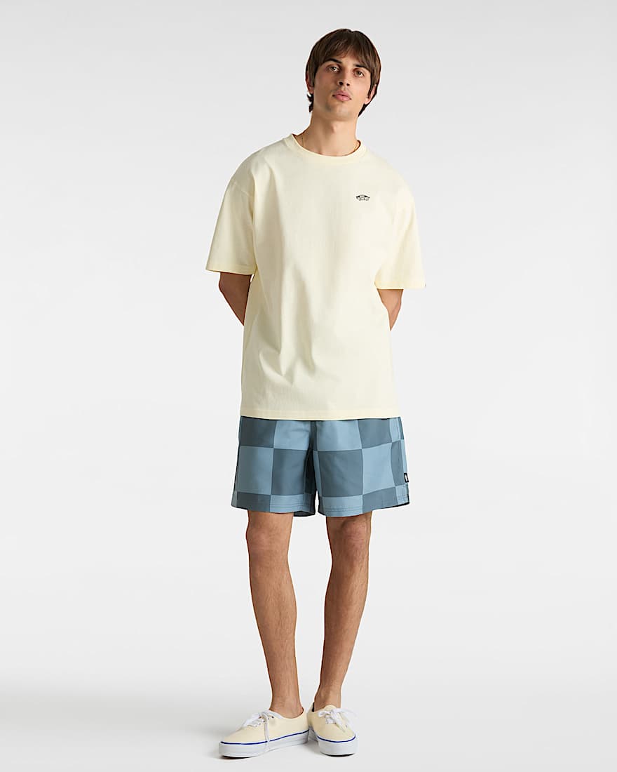 Primary Checkerboard Boardshorts VANS Blau ALT5