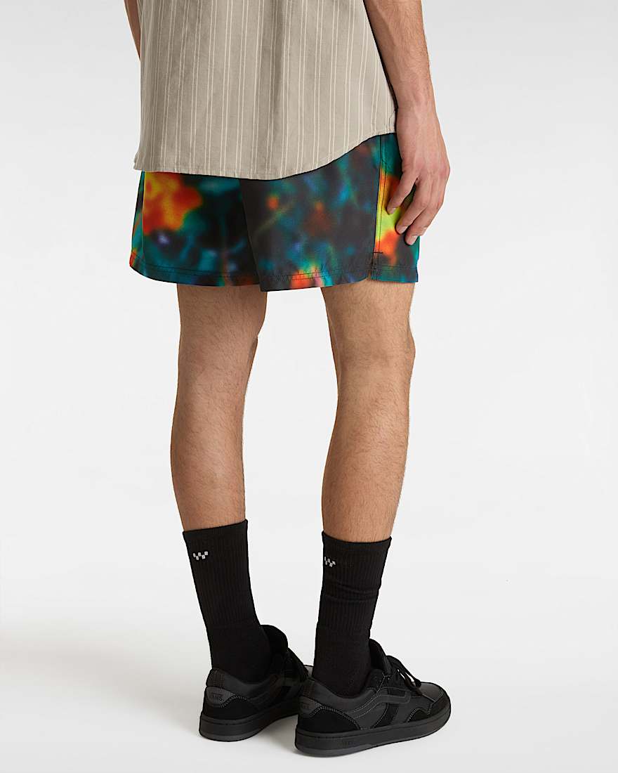 Primary Print Boardshorts VANS Schwarz ALT3