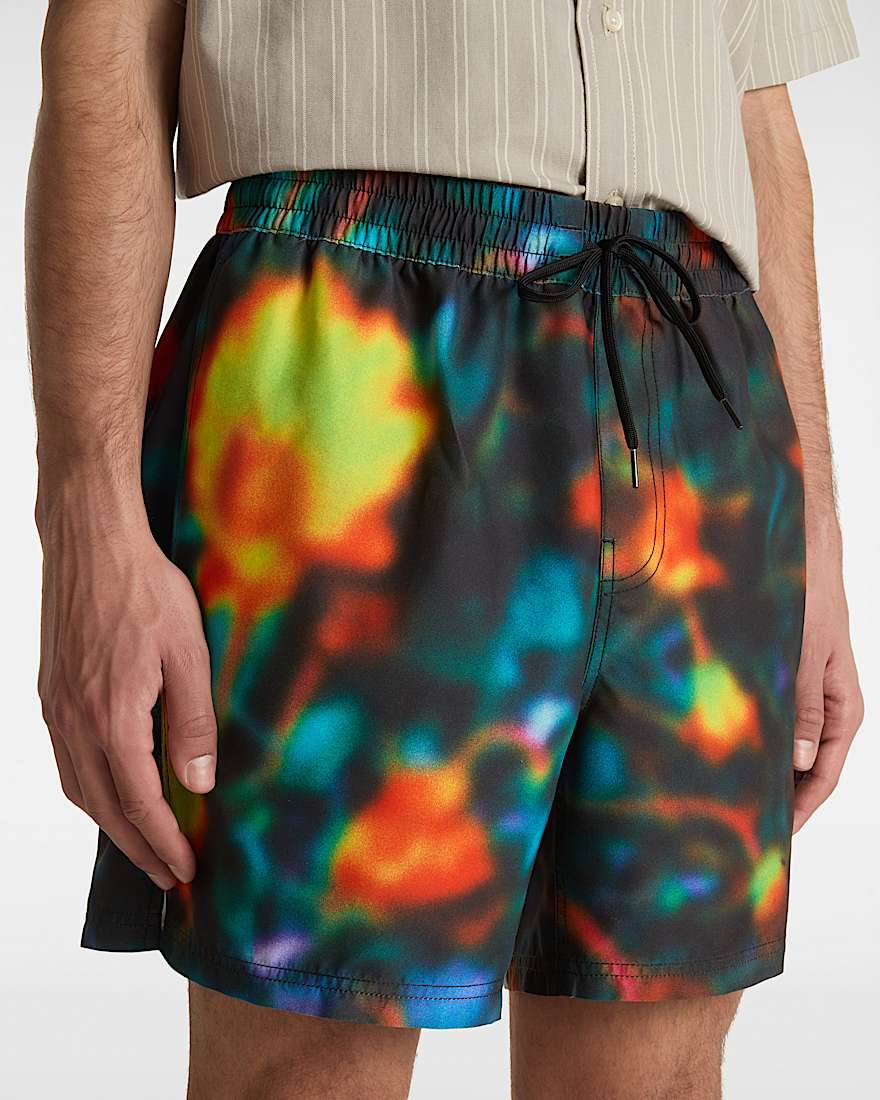 Primary Print Boardshorts VANS Schwarz ALT6