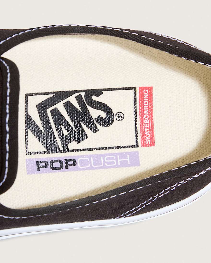 Skate Authentic Schuhe VANS Schwarz ALT6