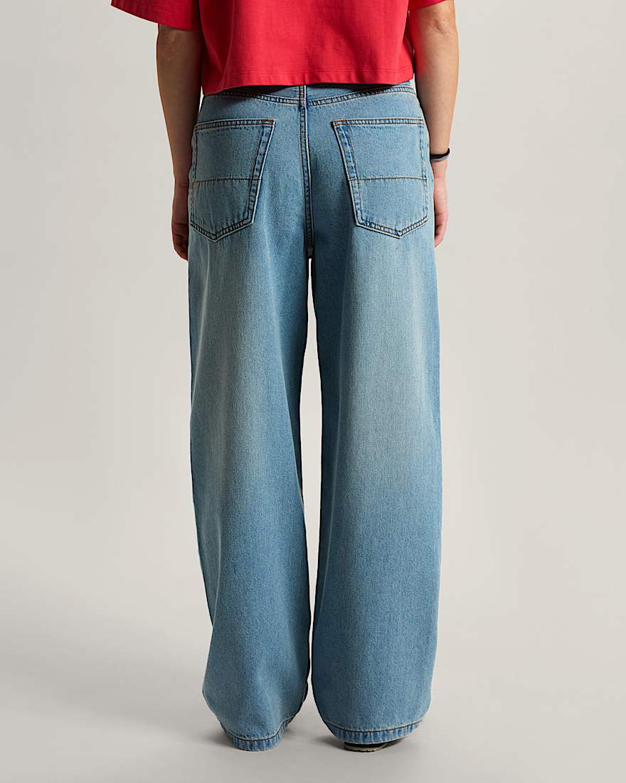 Cinched Check5 BaggyHose VANS Blau ALT3