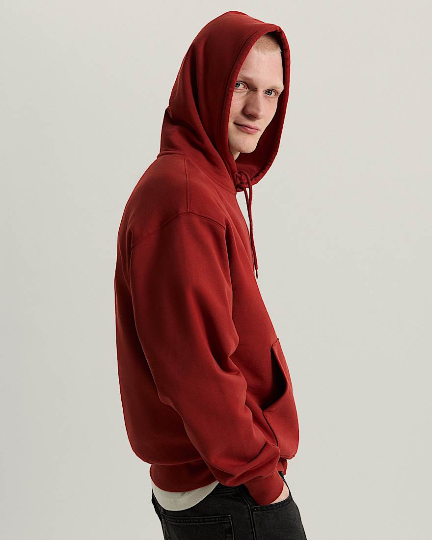 Left Chest II Logo Hoodie VANS Rot ALT4