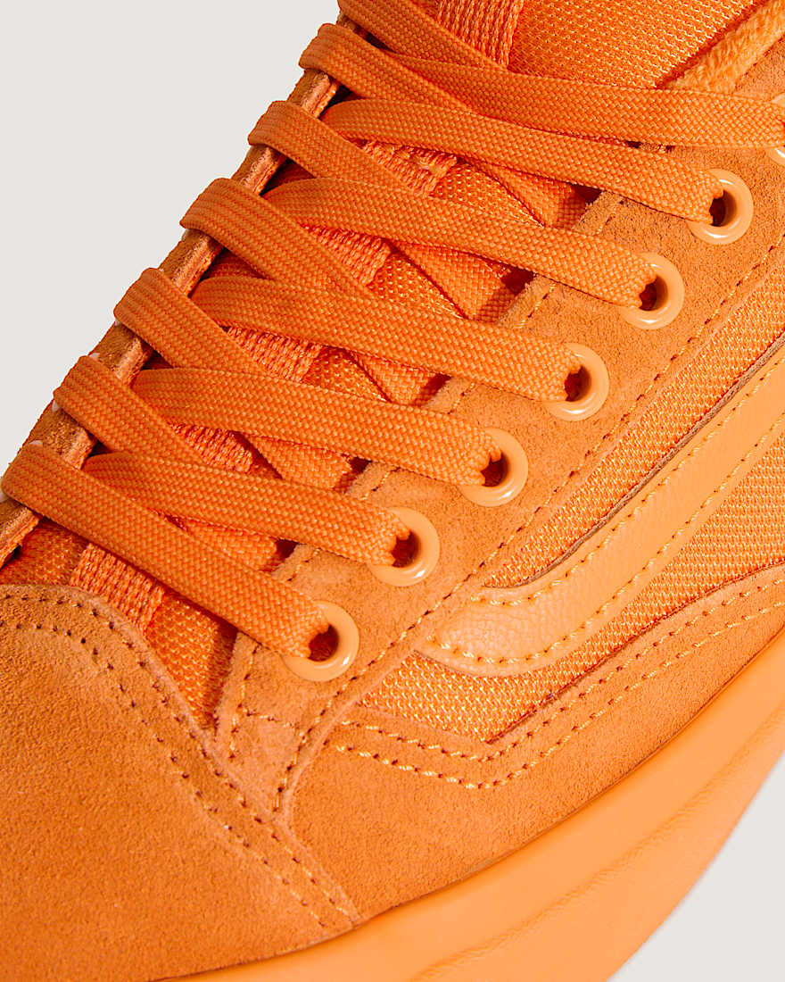 Skate Old Skool 36+ Shoes