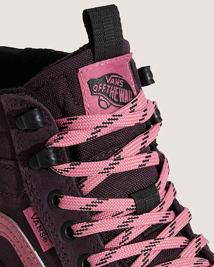 Sk8-Hi Waterproof Insulated Shoes