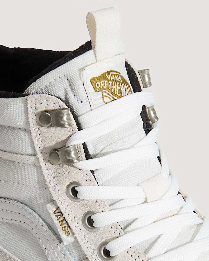 Sk8-Hi Waterproof Insulated Shoes