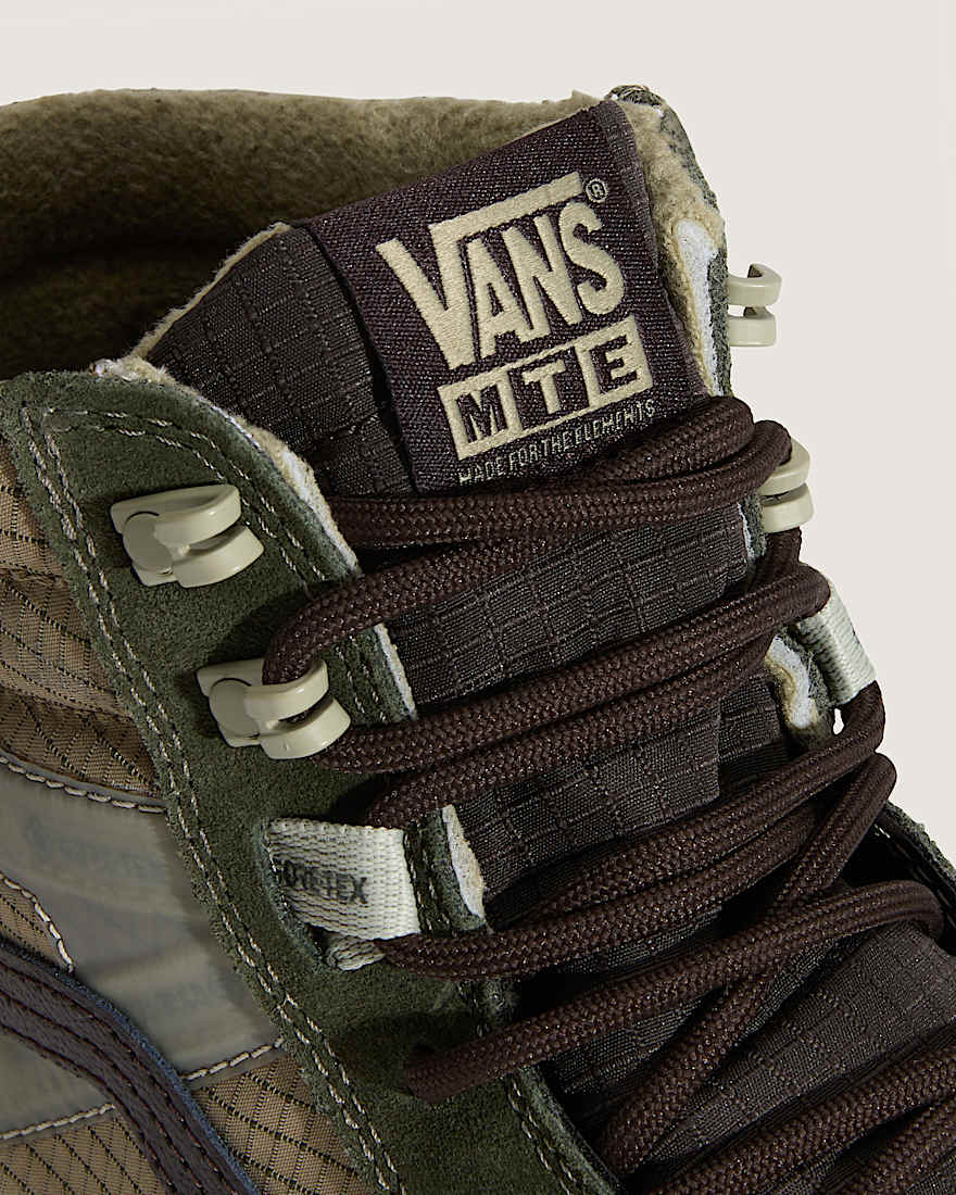Sk8-Hi GORE-TEX Insulated Shoes