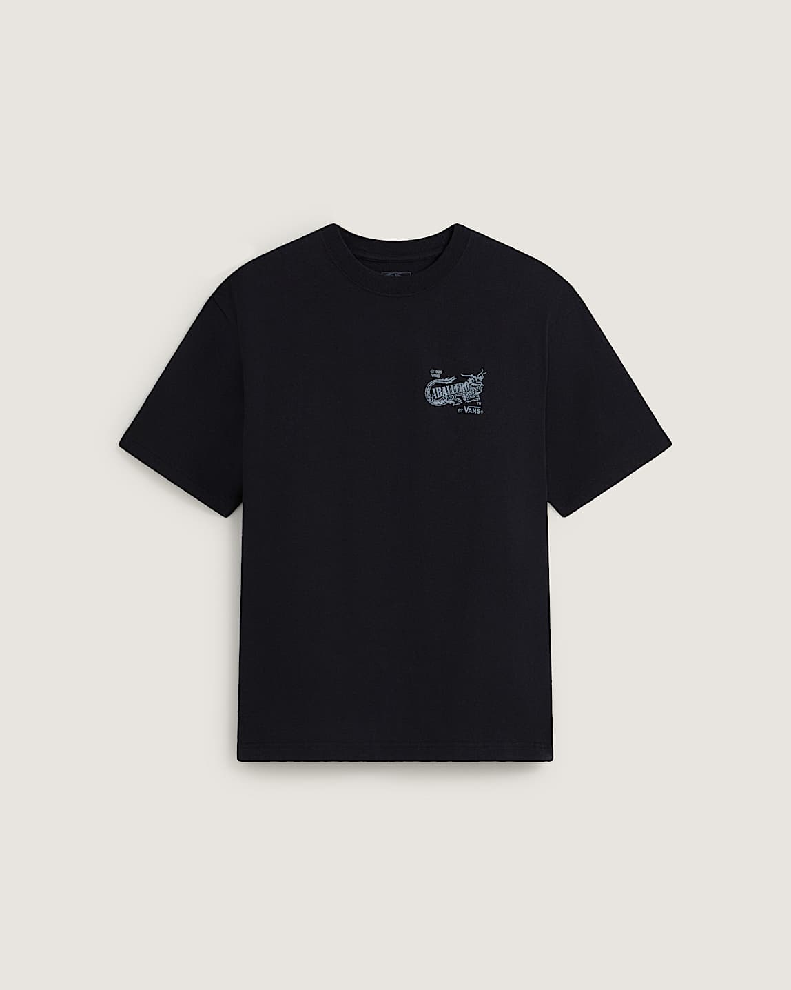Downside T-Shirt in Black| Vans DK