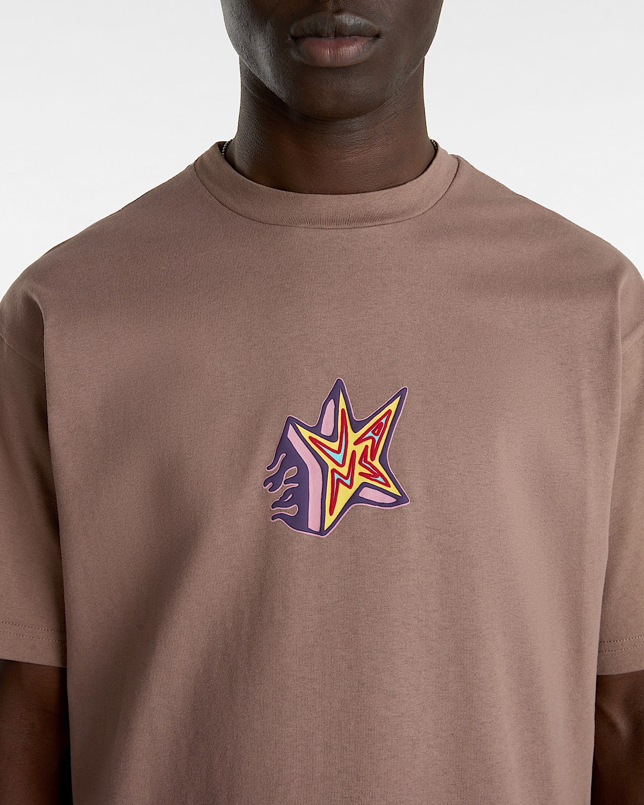 Tshirt Skate Star VANS Marron ALT5
