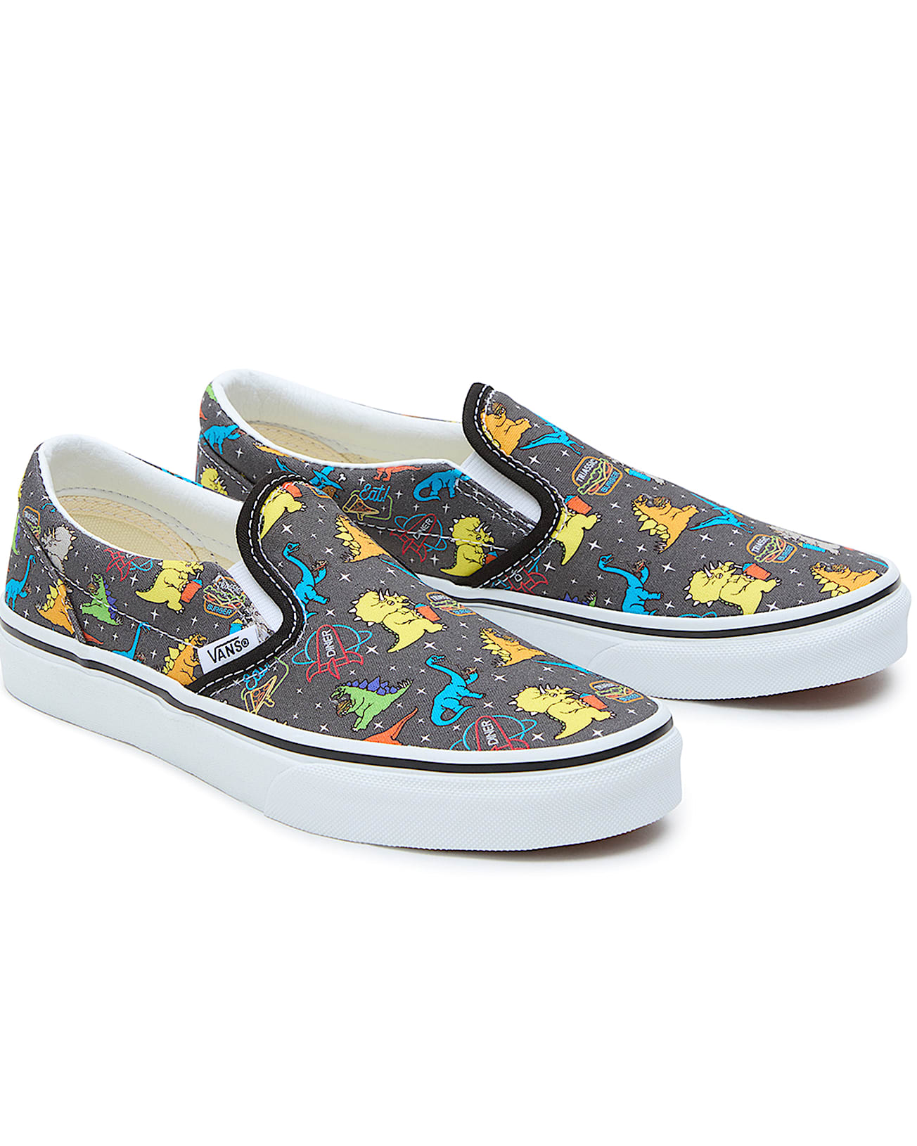 Youth Dino Classic SlipOn Shoes 814 years VANS GreyWhite HERO