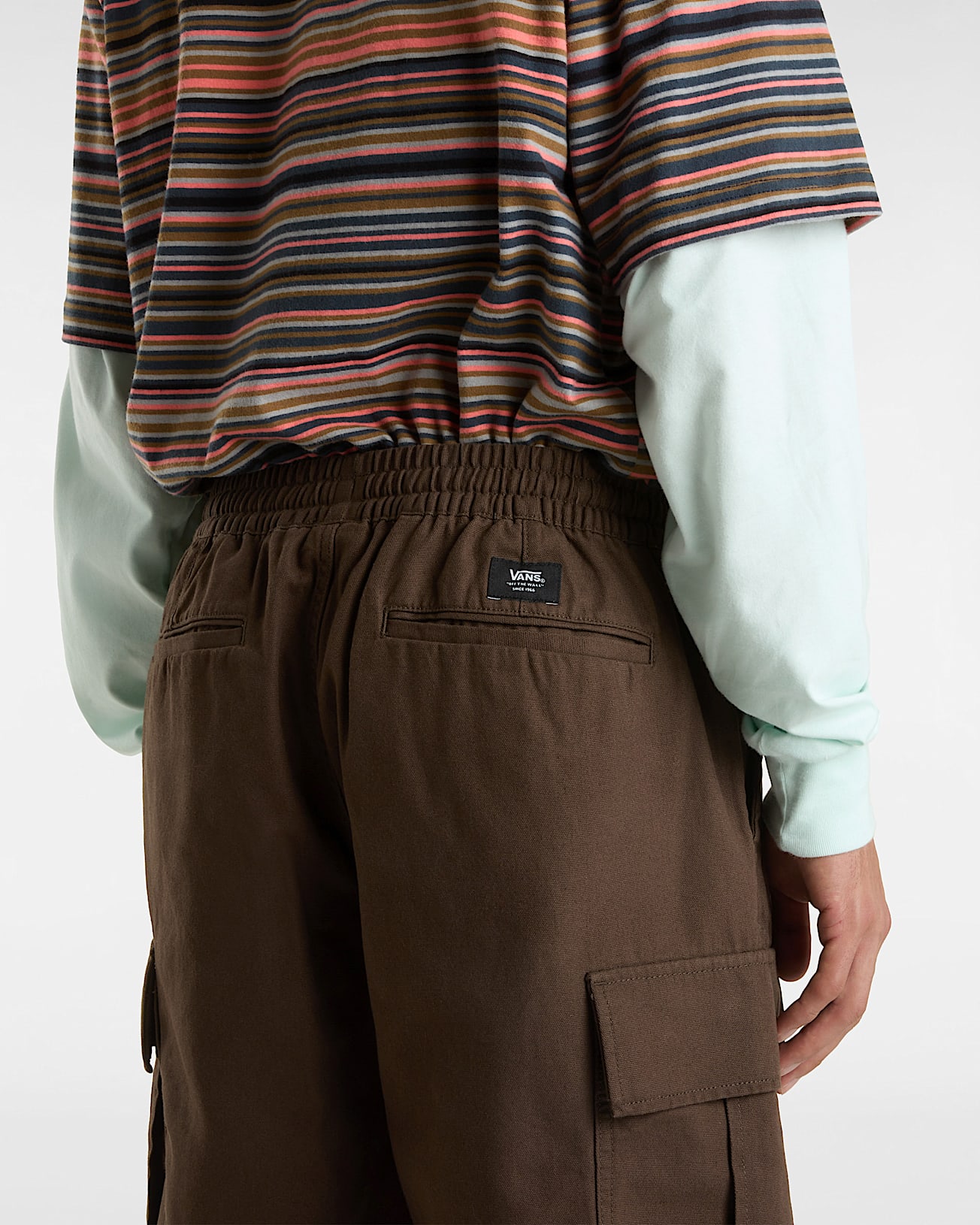 Range Cargoshorts VANS Braun ALT7