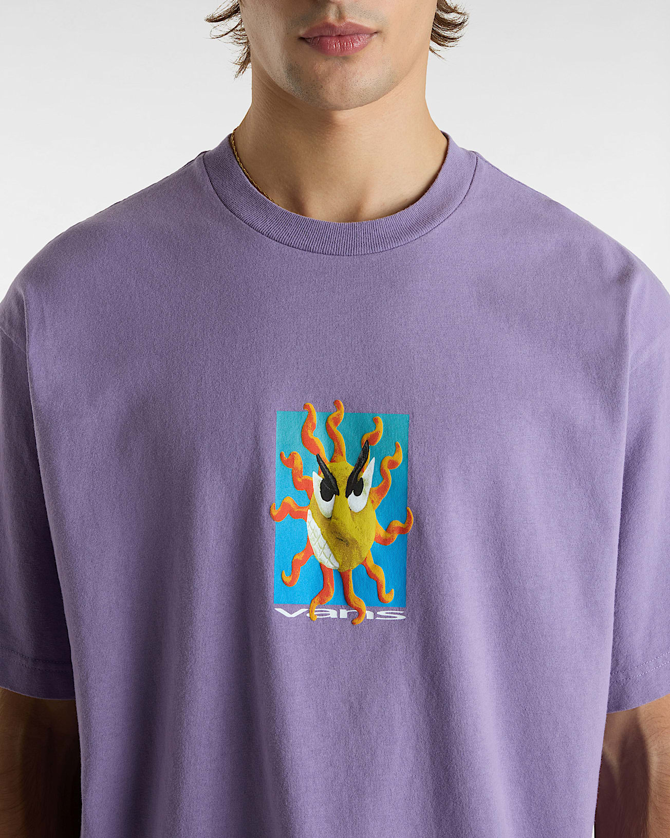 Tshirt Skate Clay VANS Violet ALT6