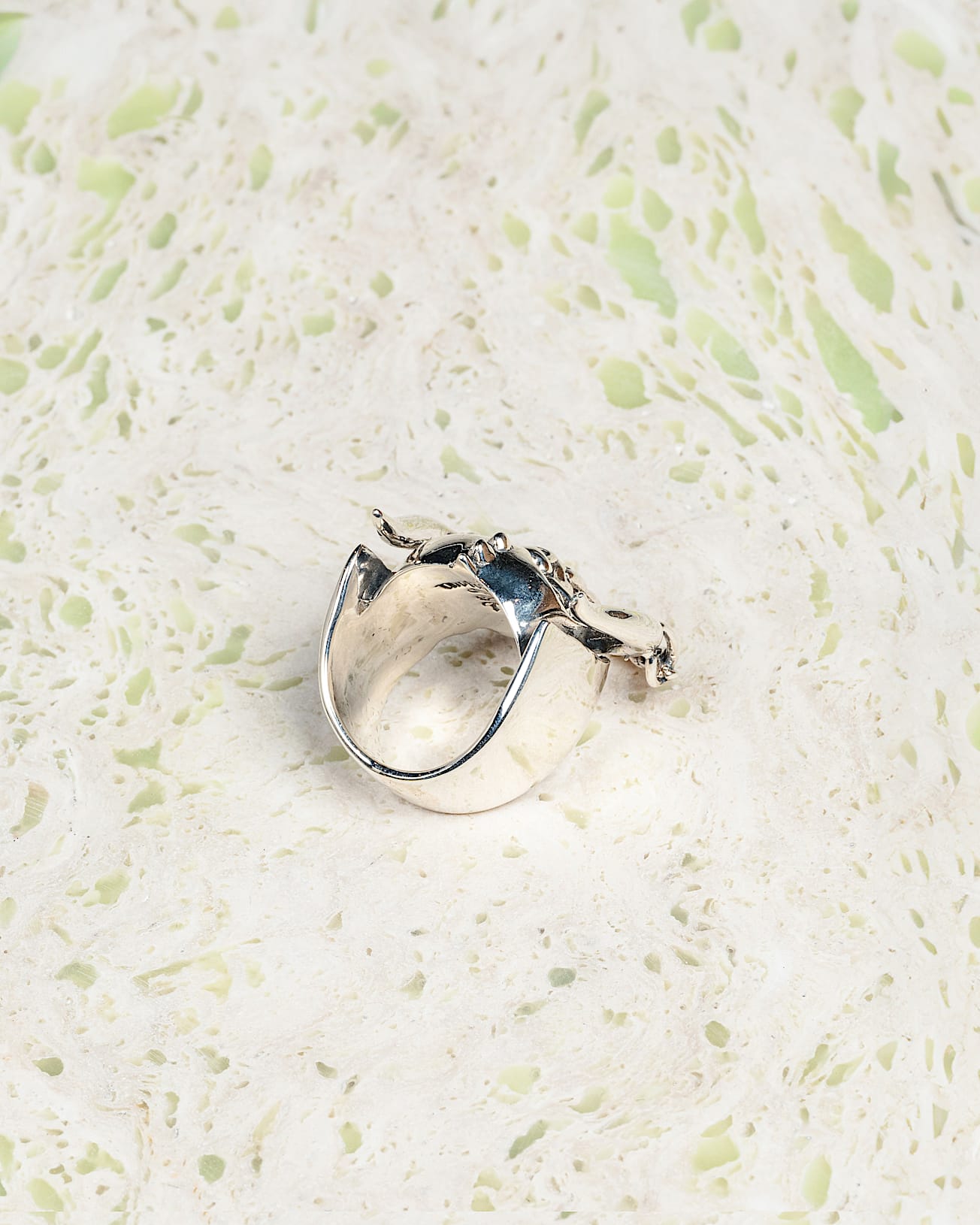 The Frog Motorhead Ring VANS Grey ALT2