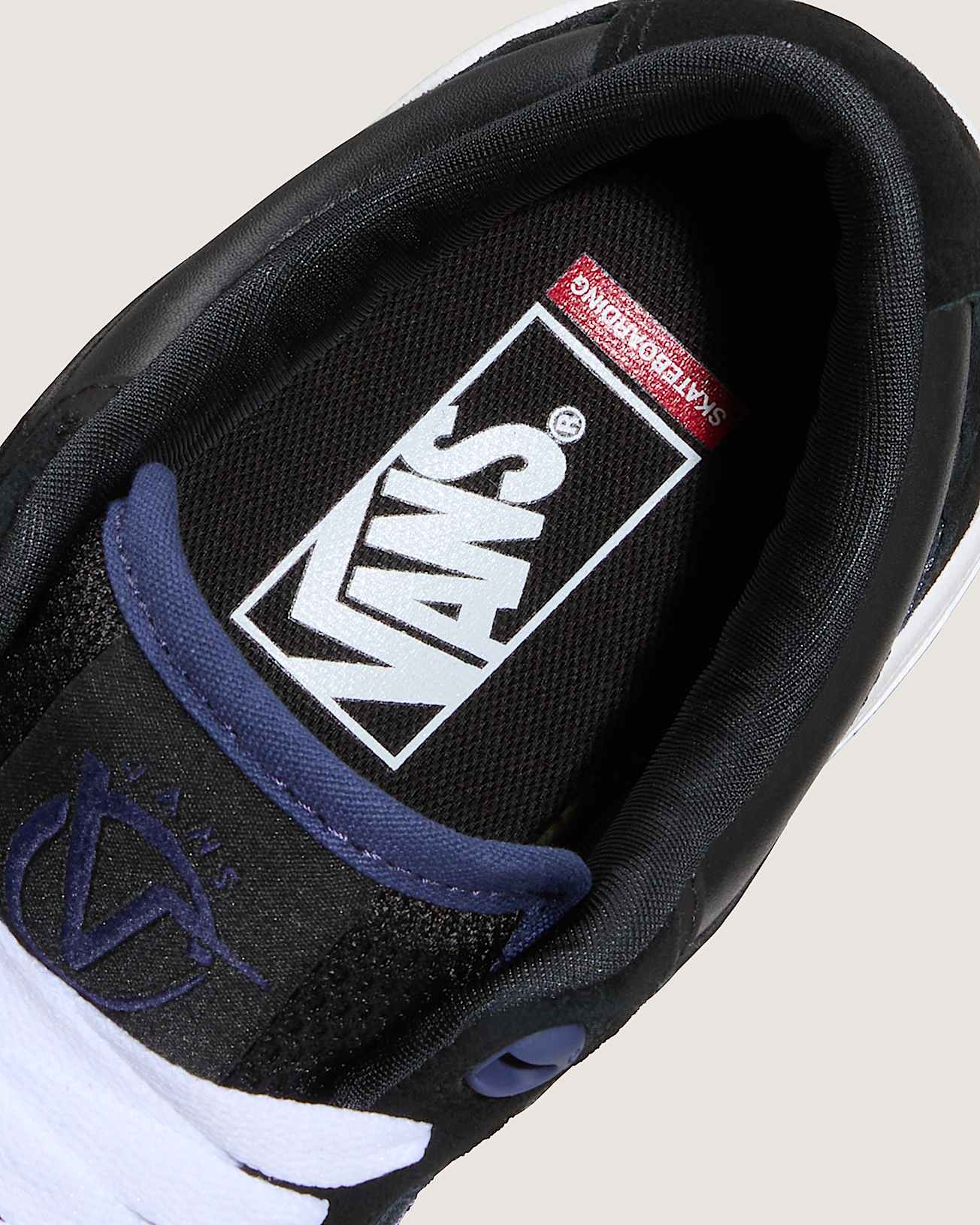 Chaussures Skate Rowan 2 VANS Noir ALT6