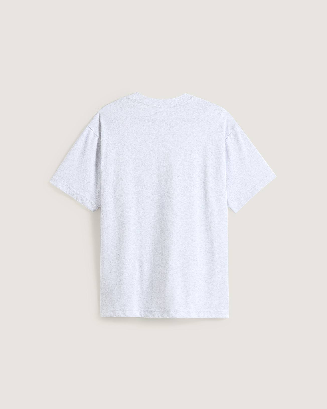 Lockeres Salton TShirt VANS Grau ALT1