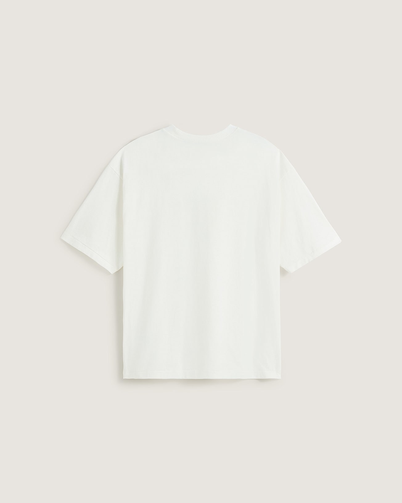 Raw Instinct TShirt VANS Wei ALT1