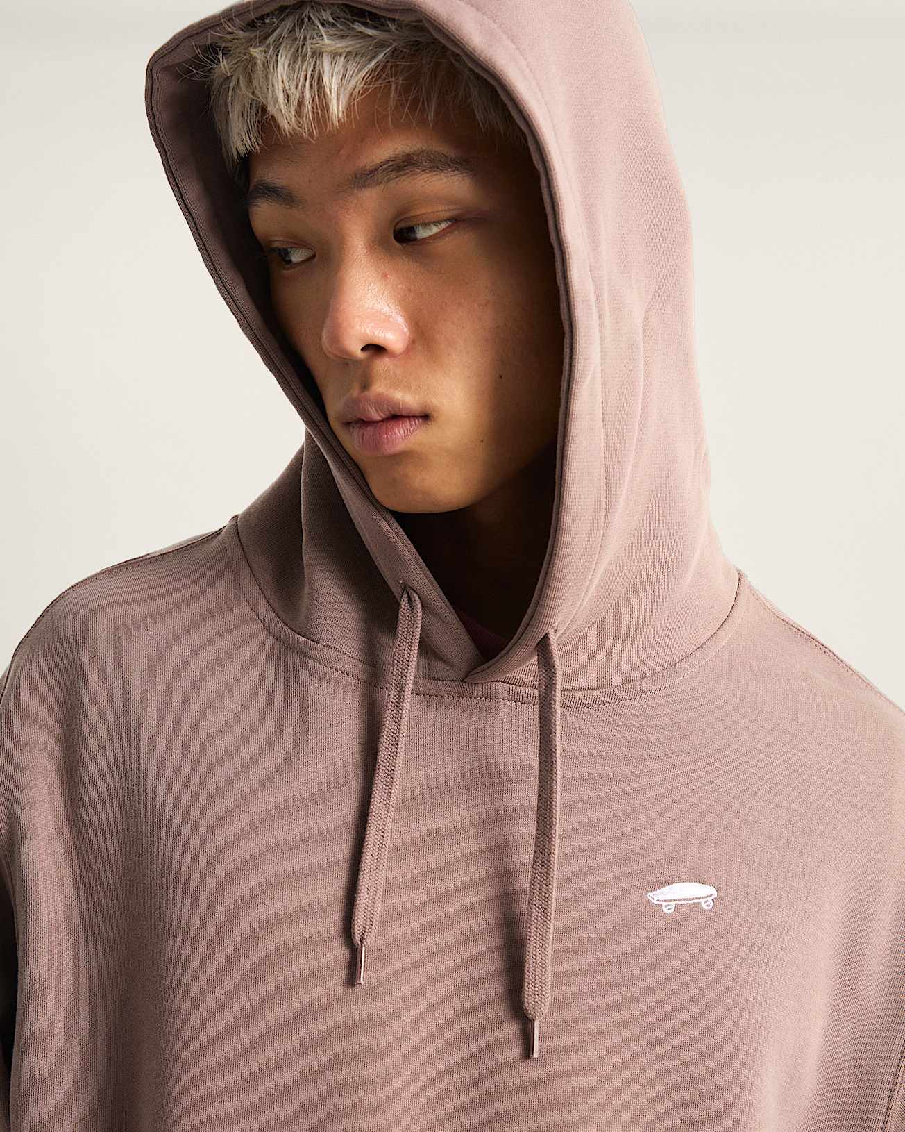 Salton Loose Hoodie VANS Braun ALT5