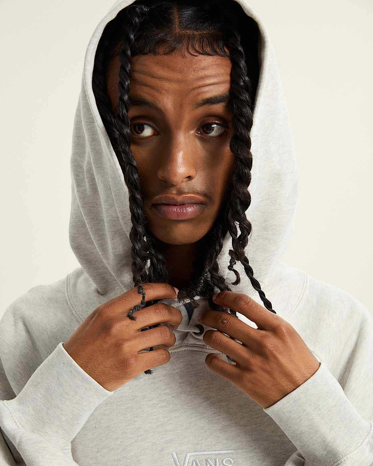 Premium Logo Hoodie VANS Grau ALT6