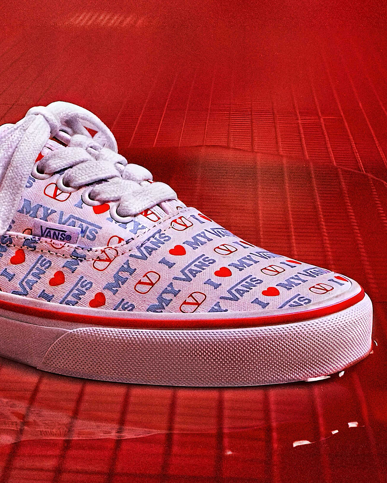 Valentino Garavani en Vans Authentic  VANS Multicolour ALT1