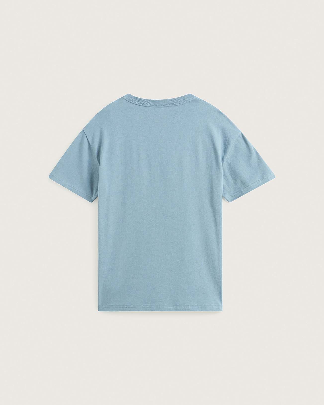 Unpatched TShirt VANS Grau ALT1