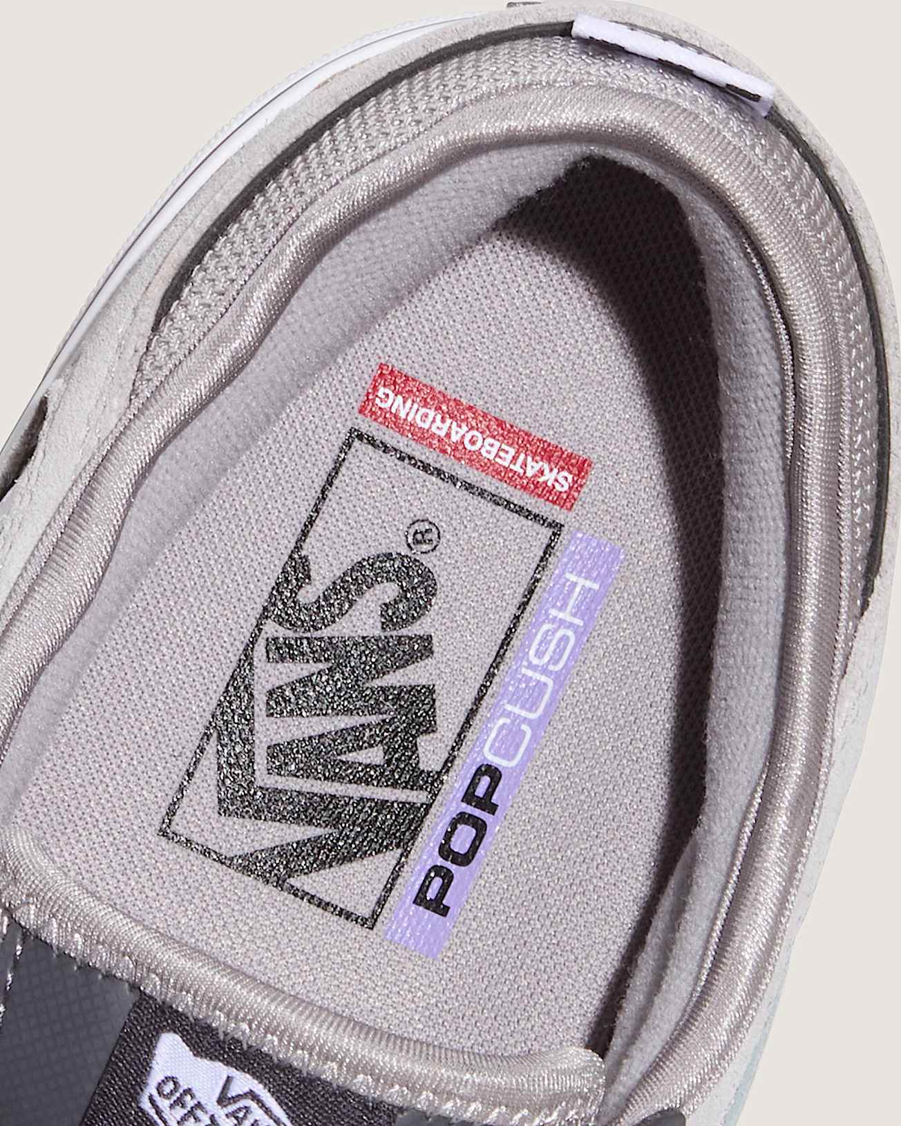 Skate Rowley Schuhe VANS Grau ALT6