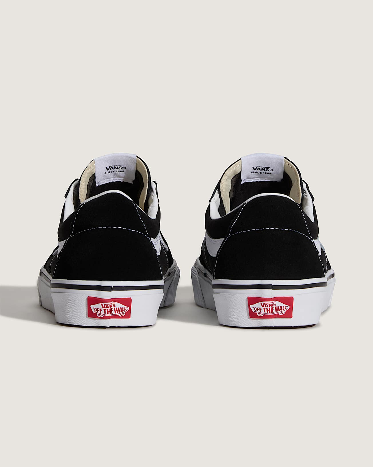 Chaussures Sk8Low VANS Noir ALT3
