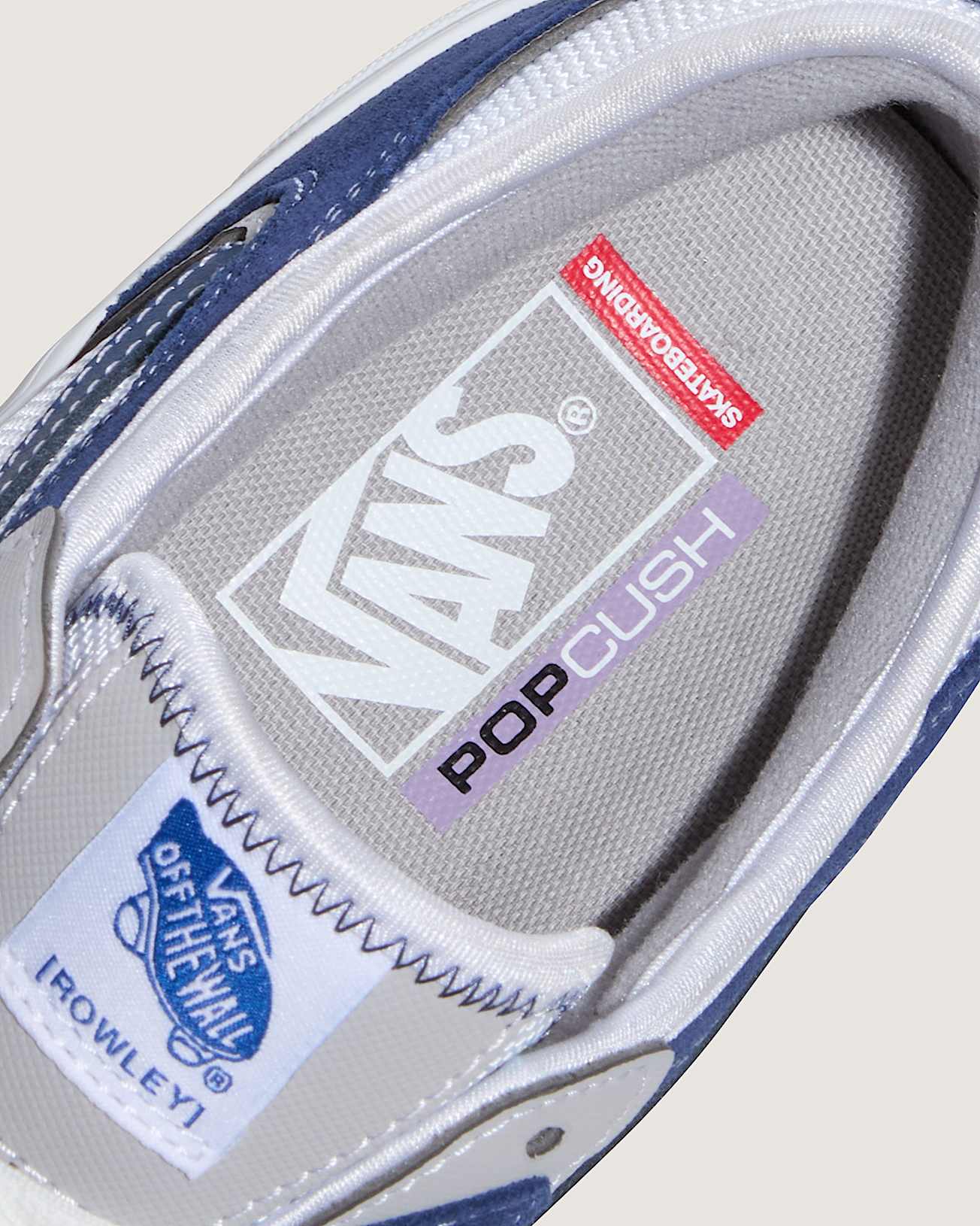 Skate Rowley Shoes VANS BlueWhite ALT6