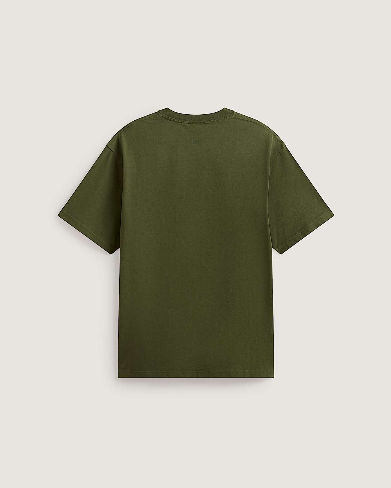 Premium Loose Fit Tee VANS Groen ALT1