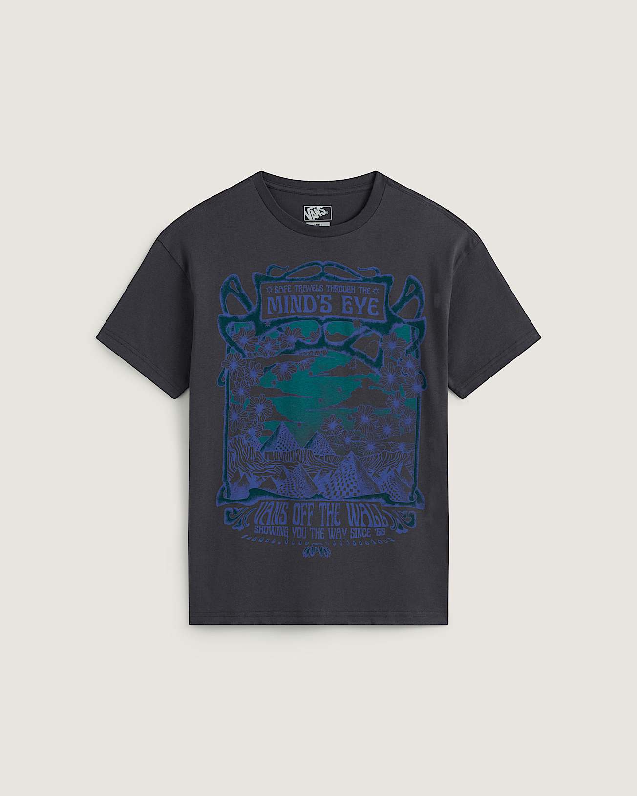 Minds Eye Oversized SS Tee Charcoal Grey VANS Grey HERO