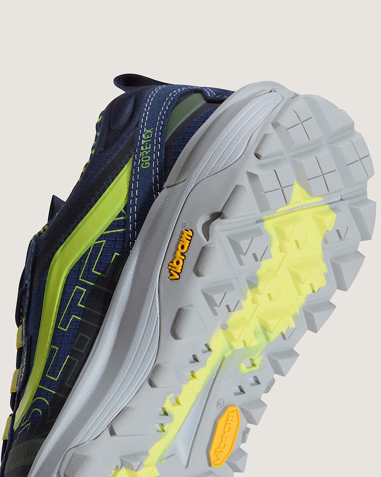 Crosspath XC GORETEX Shoes VANS Blue ALT6