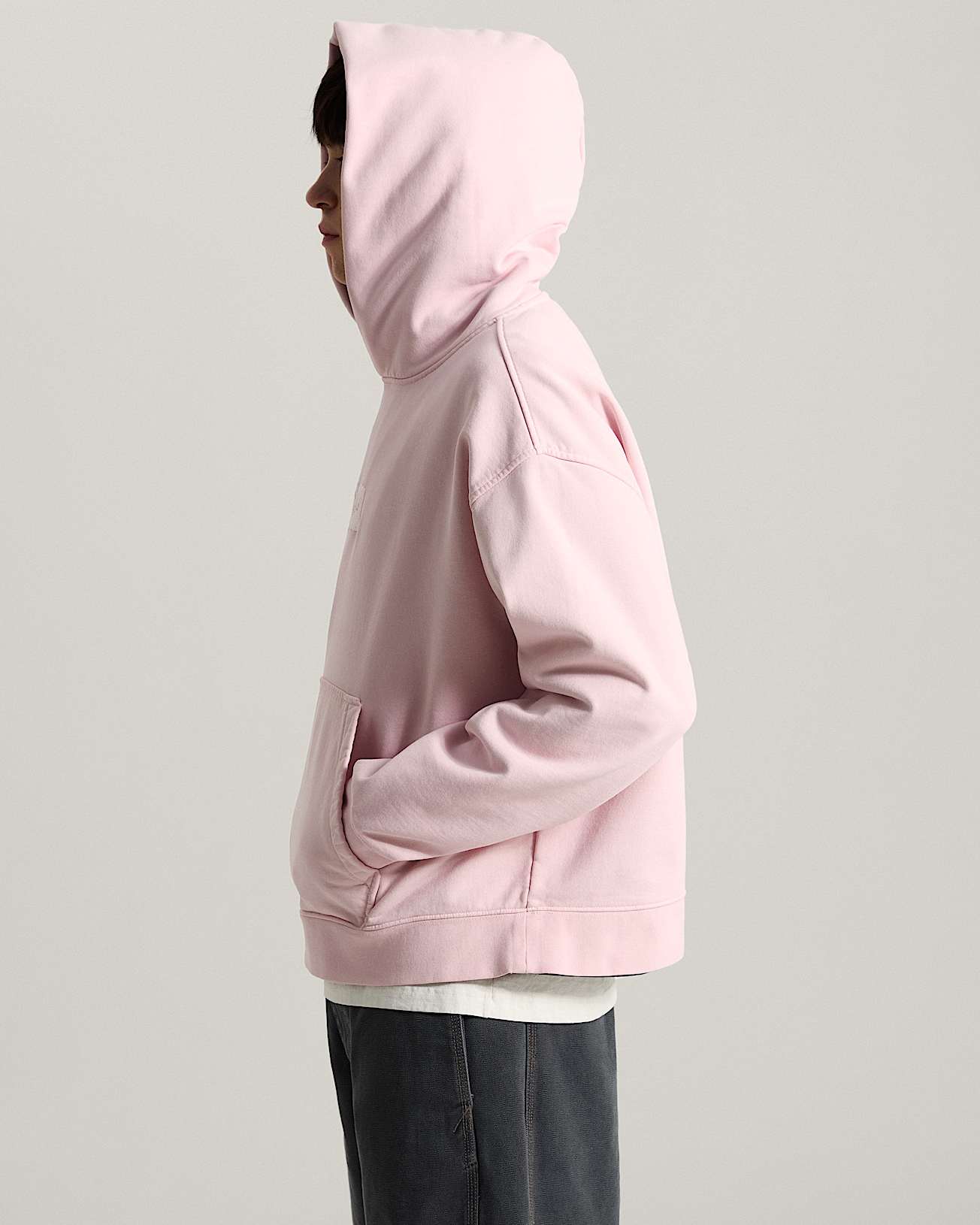 Bluza z kapturem Premium Pullover VANS Fioletowy ALT4