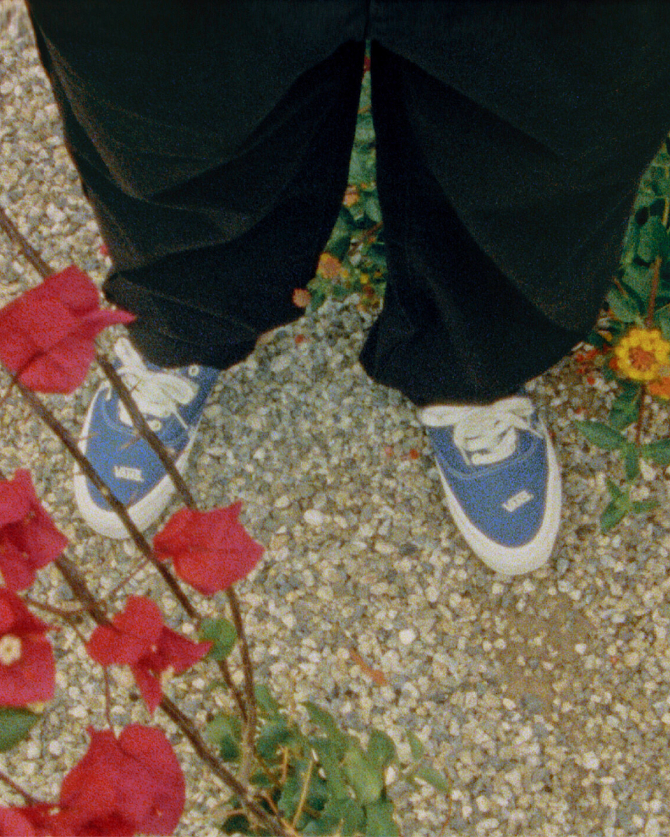 OTW Era 59 Schoenen VANS Blauw ALT1