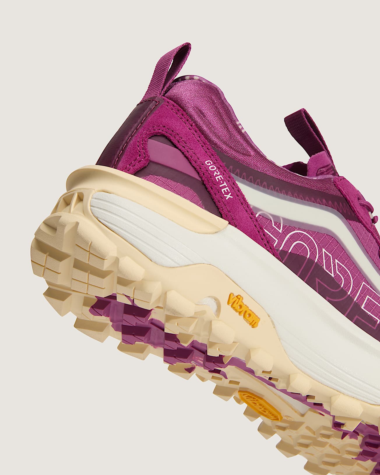Chaussures Crosspath XC GORETEX VANS Violet ALT8
