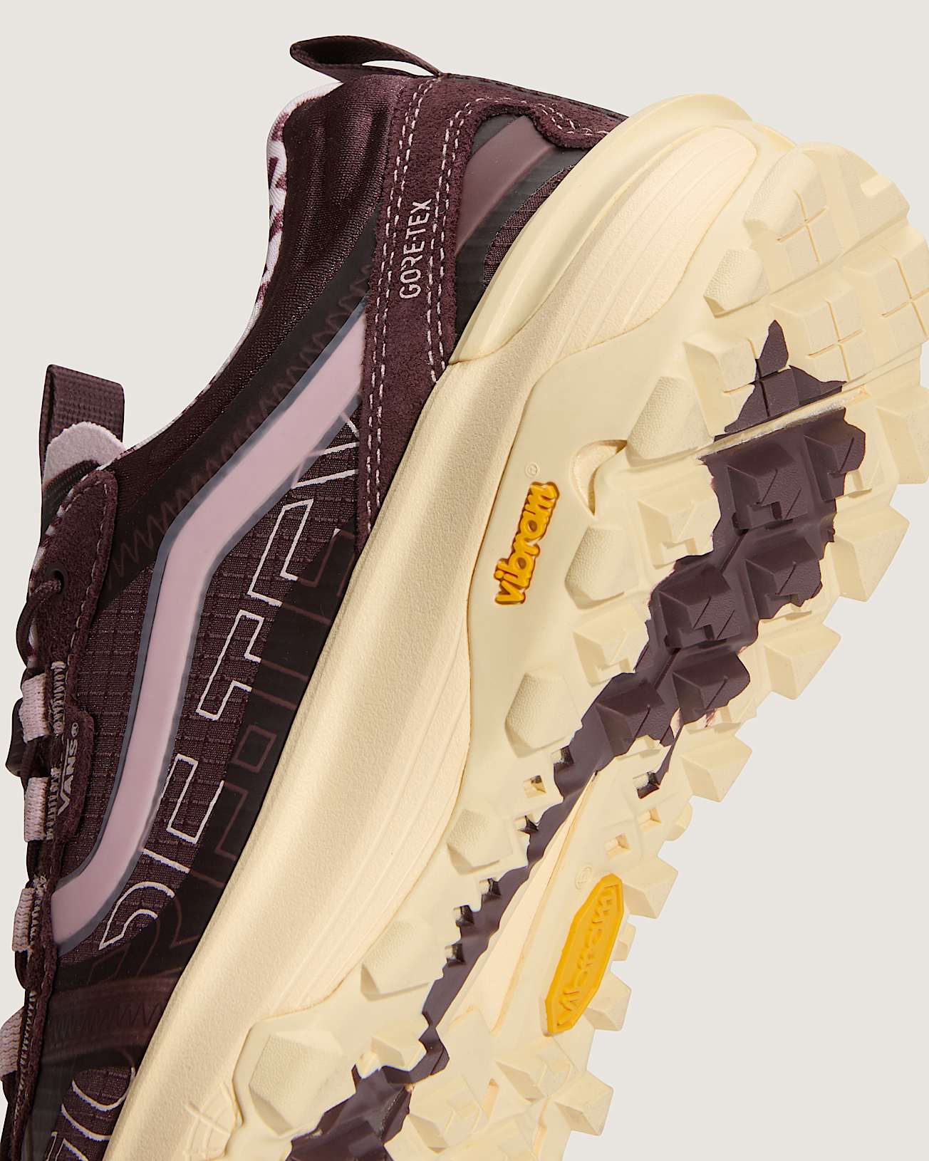 Crosspath XC GORETEX Shoes VANS Purple ALT11