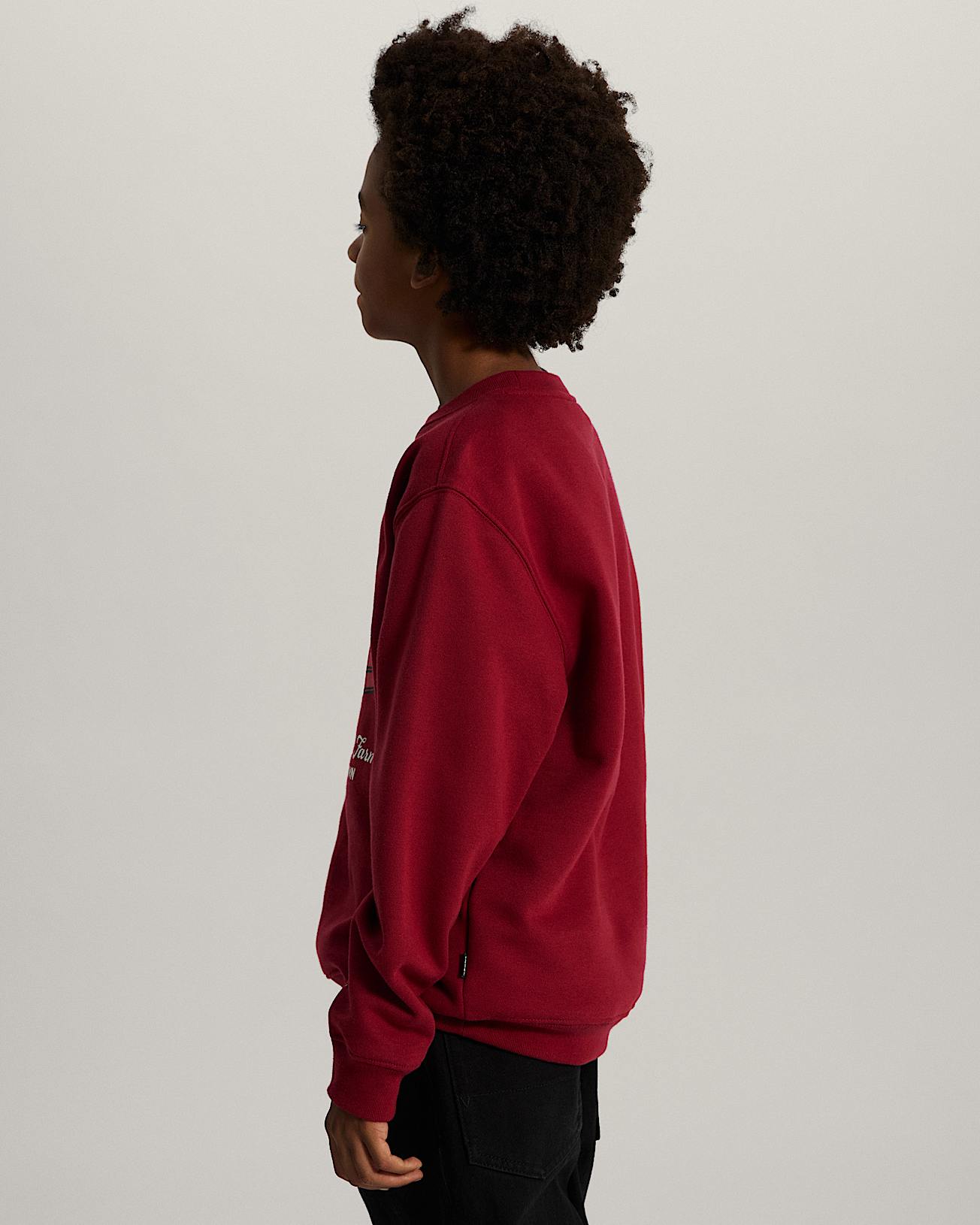 Kids Cut Your Own Crew Sweatshirt 814 years VANS Burgundy ALT4