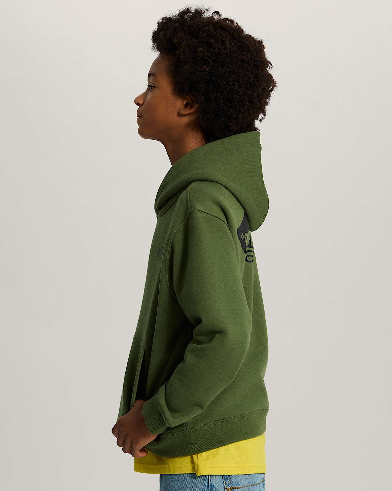Double Standard Pullover Green Balsam VANS Verde ALT4