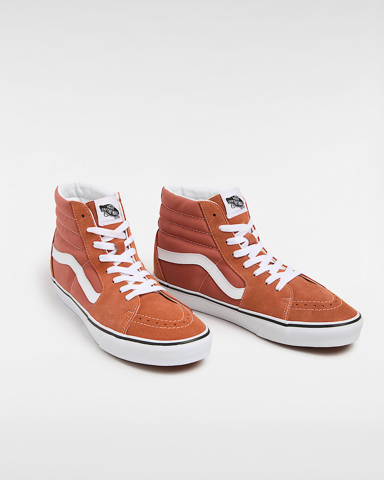 Color Theory Sk8-Hi Shoes - 2
