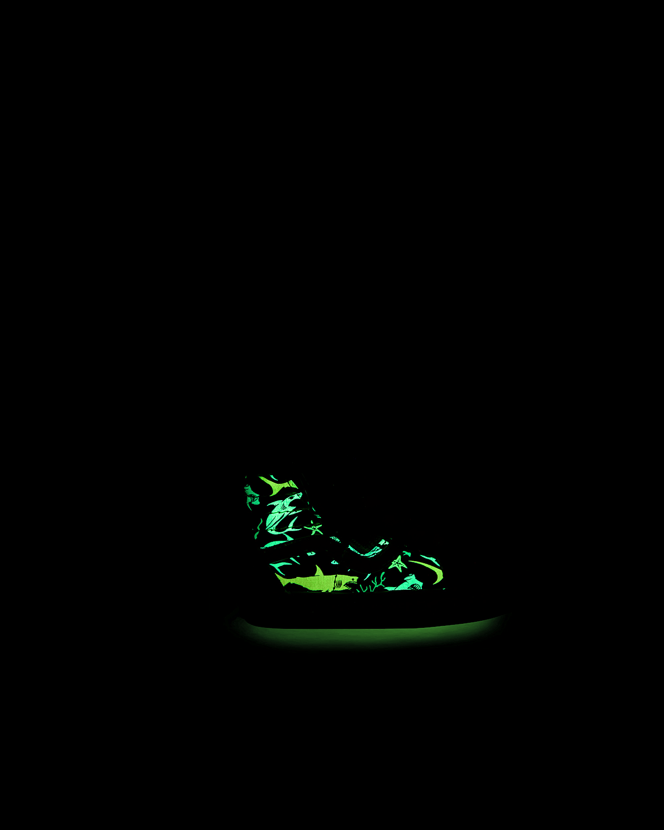 Sk8-Hi Schoenen voor peuters (1-4 jaar) - 5