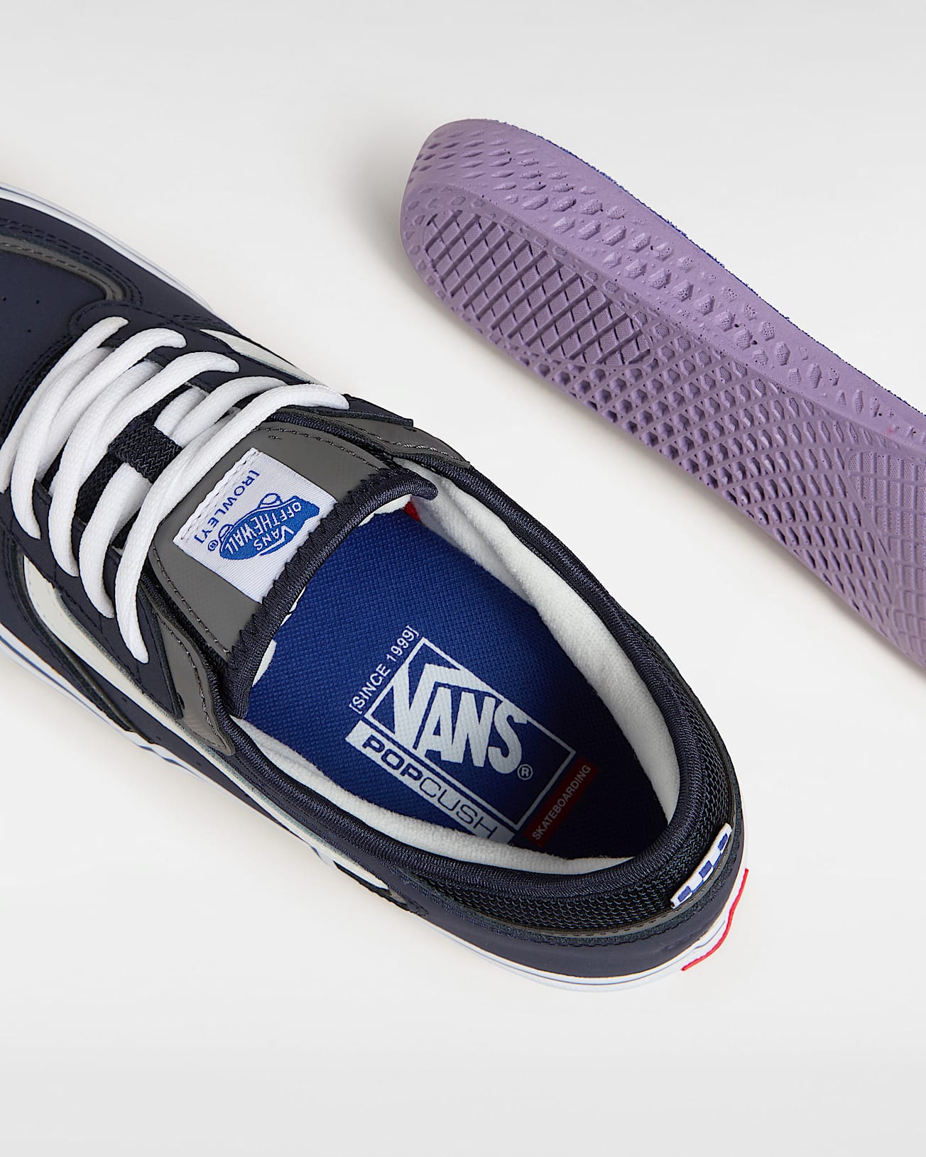 Skate Rowley Shoes in Blue| Vans UK